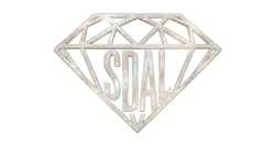 San Diego Airport Limo Logo